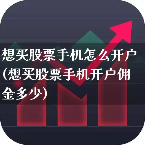 想买股票手机怎么开户(想买股票手机开户佣金多少)_https://www.ccit-cctv.com_北交所_第1张