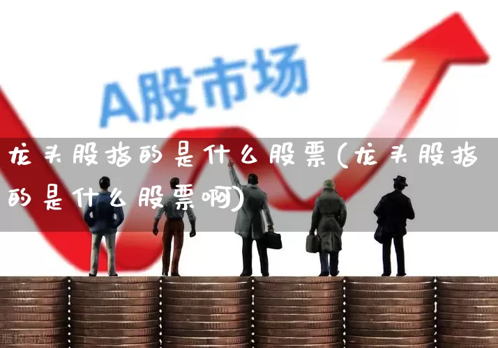 龙头股指的是什么股票(龙头股指的是什么股票啊)_https://www.ccit-cctv.com_深交所_第1张