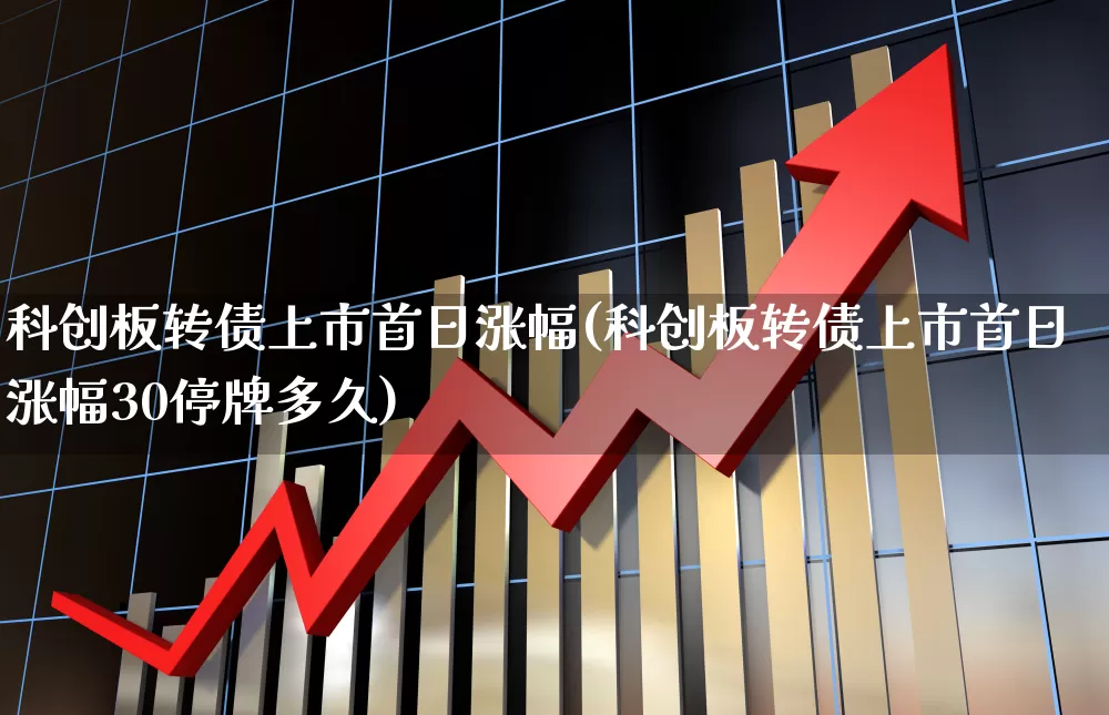 科创板转债上市首日涨幅(科创板转债上市首日涨幅30停牌多久)_https://www.ccit-cctv.com_深交所_第1张