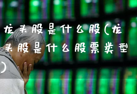 龙头股是什么股(龙头股是什么股票类型)_https://www.ccit-cctv.com_深交所_第1张