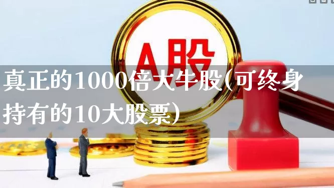 真正的1000倍大牛股(可终身持有的10大股票)_https://www.ccit-cctv.com_科创板_第1张