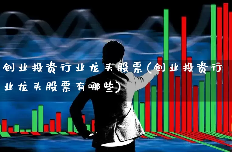 创业投资行业龙头股票(创业投资行业龙头股票有哪些)_https://www.ccit-cctv.com_上交所_第1张