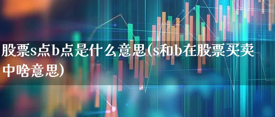 股票s点b点是什么意思(s和b在股票买卖中啥意思)_https://www.ccit-cctv.com_北交所_第1张