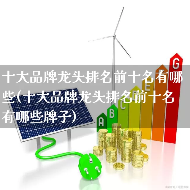 十大品牌龙头排名前十名有哪些(十大品牌龙头排名前十名有哪些牌子)_https://www.ccit-cctv.com_上交所_第1张