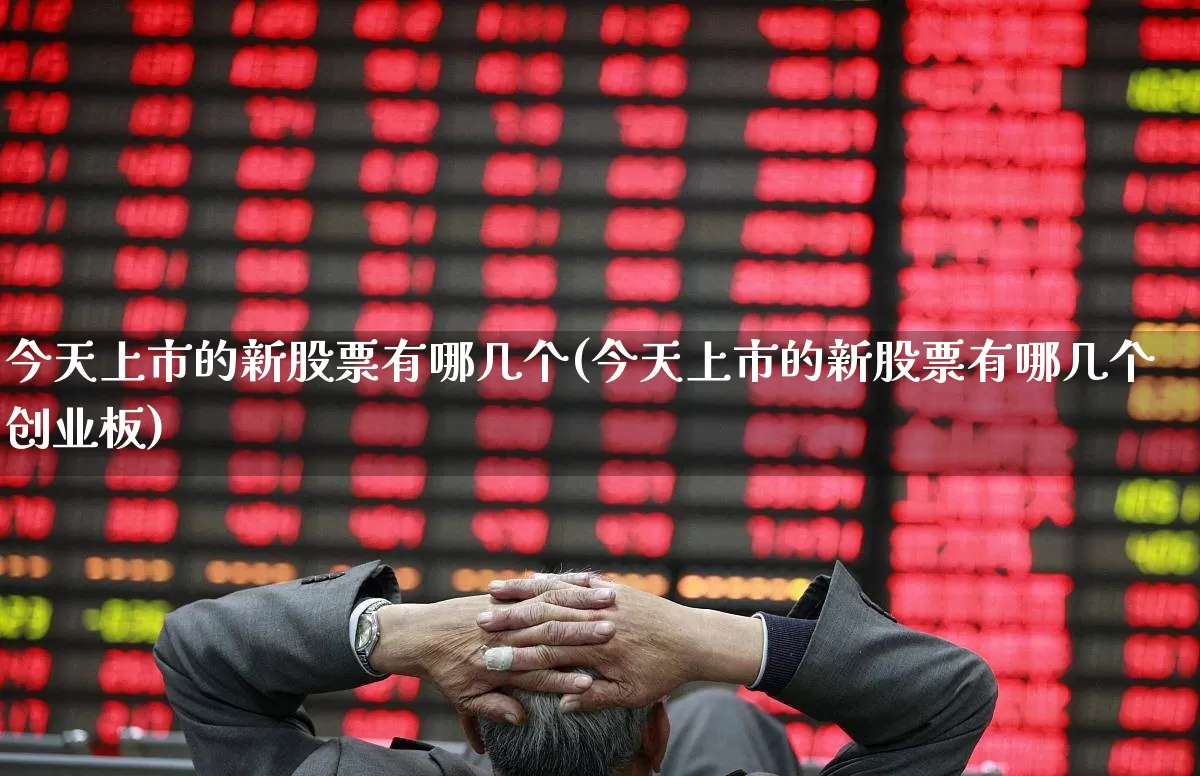 今天上市的新股票有哪几个(今天上市的新股票有哪几个创业板)_https://www.ccit-cctv.com_深交所_第1张