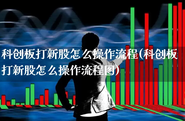 科创板打新股怎么操作流程(科创板打新股怎么操作流程图)_https://www.ccit-cctv.com_深交所_第1张