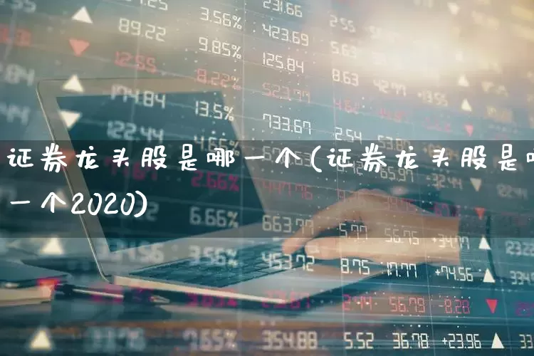 证券龙头股是哪一个(证券龙头股是哪一个2020)_https://www.ccit-cctv.com_上交所_第1张