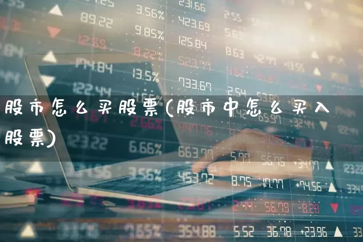 股市怎么买股票(股市中怎么买入股票)_https://www.ccit-cctv.com_上交所_第1张