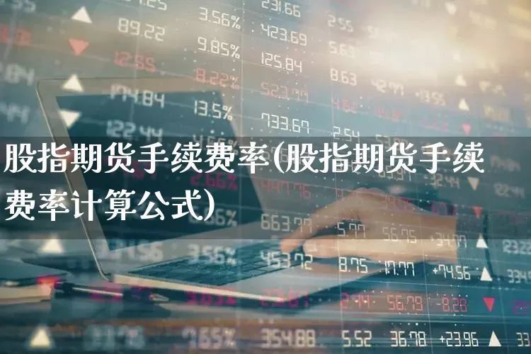 股指期货手续费率(股指期货手续费率计算公式)_https://www.ccit-cctv.com_科创板_第1张