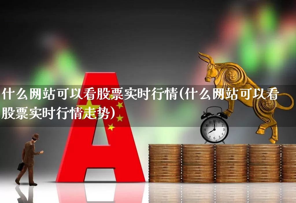 什么网站可以看股票实时行情(什么网站可以看股票实时行情走势)_https://www.ccit-cctv.com_科创板_第1张