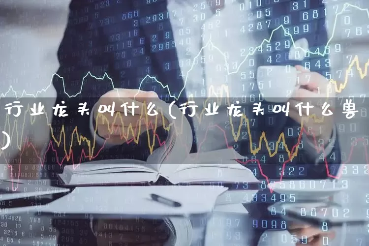 行业龙头叫什么(行业龙头叫什么兽)_https://www.ccit-cctv.com_上交所_第1张