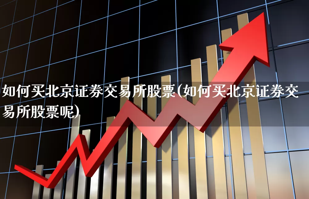 如何买北京证券交易所股票(如何买北京证券交易所股票呢)_https://www.ccit-cctv.com_科创板_第1张
