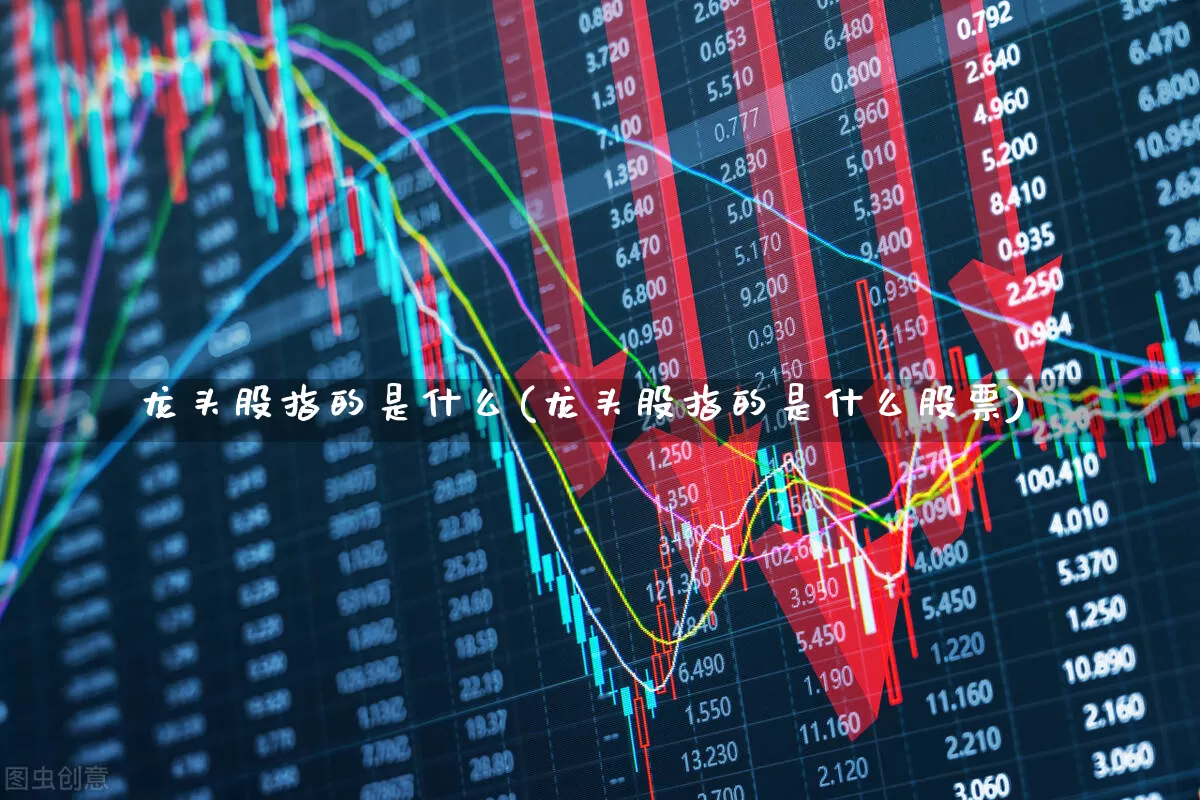 龙头股指的是什么(龙头股指的是什么股票)_https://www.ccit-cctv.com_上交所_第1张