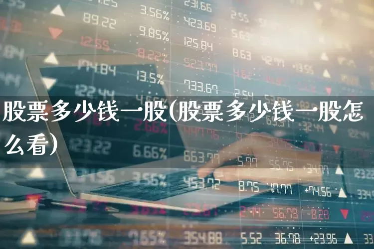 股票多少钱一股(股票多少钱一股怎么看)_https://www.ccit-cctv.com_深交所_第1张