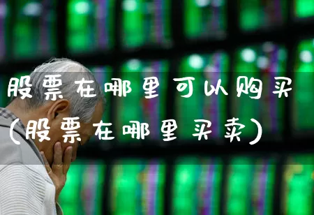 股票在哪里可以购买(股票在哪里买卖)_https://www.ccit-cctv.com_深交所_第1张