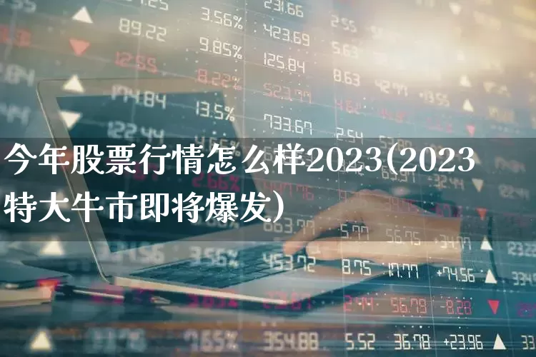 今年股票行情怎么样2023(2023特大牛市即将爆发)_https://www.ccit-cctv.com_北交所_第1张
