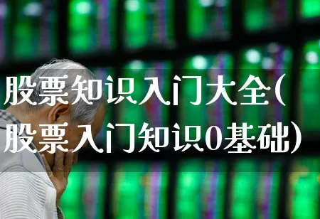 股票知识入门大全(股票入门知识0基础)_https://www.ccit-cctv.com_创业板_第1张