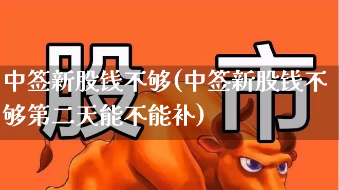 中签新股钱不够(中签新股钱不够第二天能不能补)_https://www.ccit-cctv.com_上交所_第1张