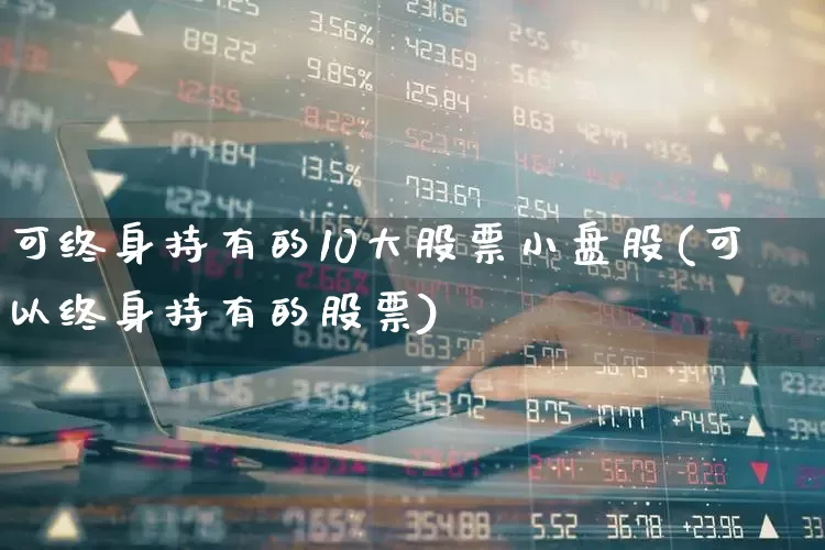 可终身持有的10大股票小盘股(可以终身持有的股票)_https://www.ccit-cctv.com_创业板_第1张