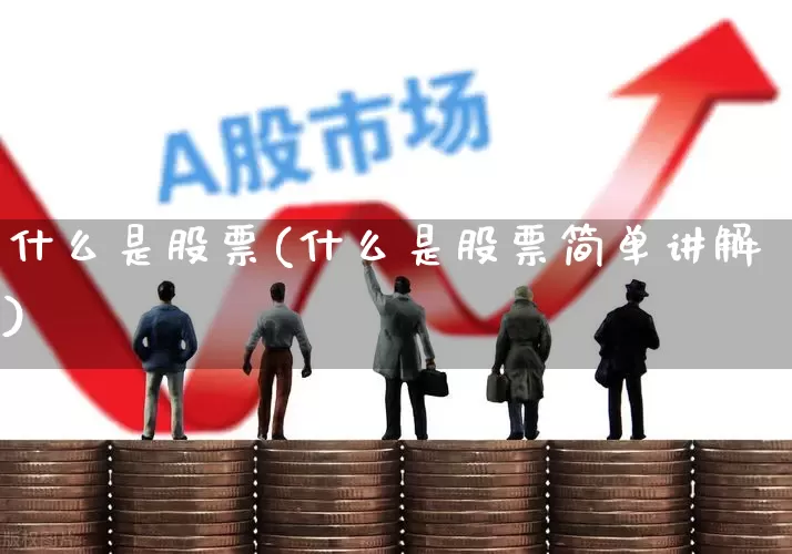 什么是股票(什么是股票简单讲解)_https://www.ccit-cctv.com_创业板_第1张
