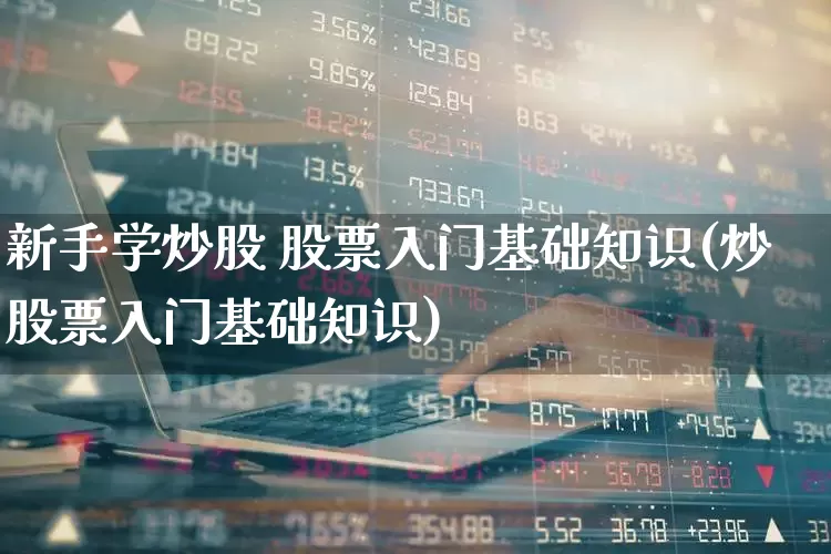 新手学炒股 股票入门基础知识(炒股票入门基础知识)_https://www.ccit-cctv.com_创业板_第1张