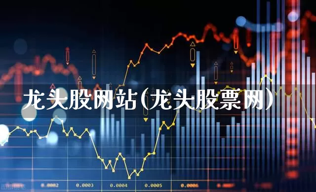 龙头股网站(龙头股票网)_https://www.ccit-cctv.com_北交所_第1张