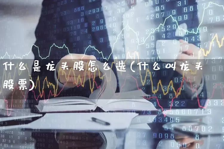 什么是龙头股怎么选(什么叫龙头股票)_https://www.ccit-cctv.com_创业板_第1张