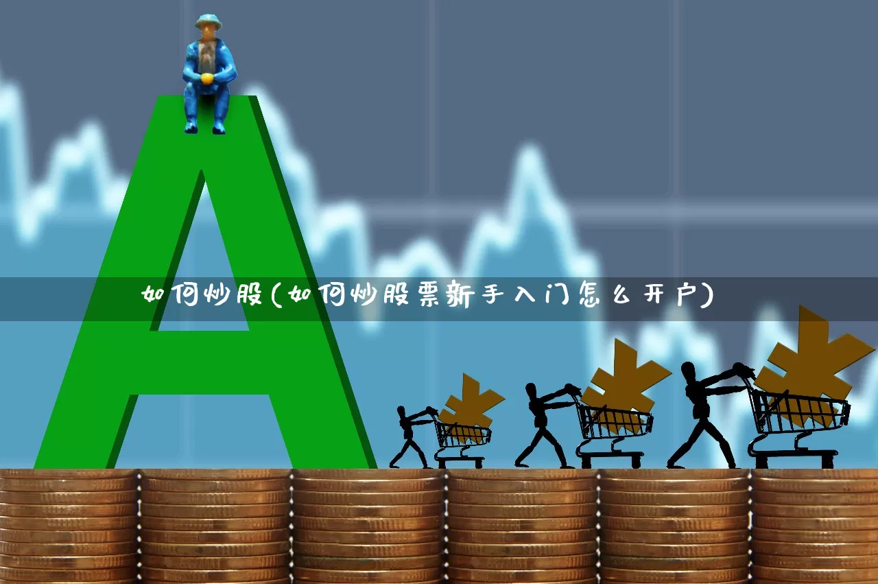 如何炒股(如何炒股票新手入门怎么开户)_https://www.ccit-cctv.com_科创板_第1张