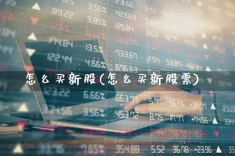 怎么买新股(怎么买新股票)_https://www.ccit-cctv.com_科创板_第1张