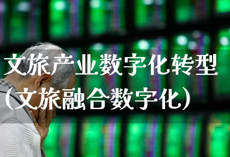 文旅产业数字化转型(文旅融合数字化)_https://www.ccit-cctv.com_创业板_第1张
