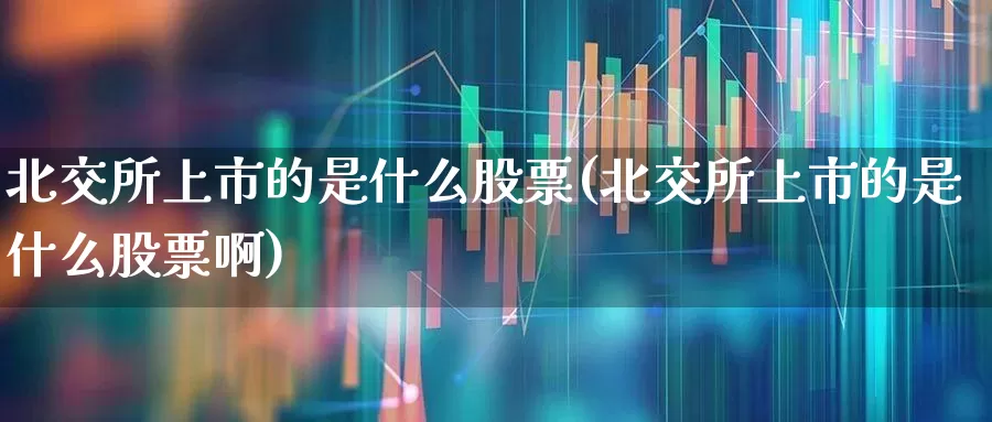 北交所上市的是什么股票(北交所上市的是什么股票啊)_https://www.ccit-cctv.com_上交所_第1张