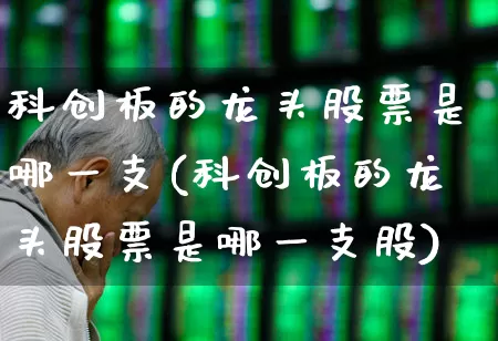 科创板的龙头股票是哪一支(科创板的龙头股票是哪一支股)_https://www.ccit-cctv.com_北交所_第1张