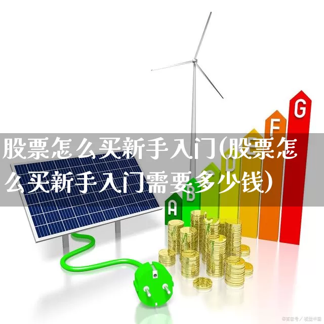 股票怎么买新手入门(股票怎么买新手入门需要多少钱)_https://www.ccit-cctv.com_上交所_第1张