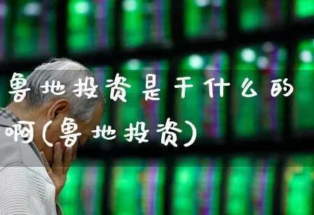 鲁地投资是干什么的啊(鲁地投资)_https://www.ccit-cctv.com_创业板_第1张
