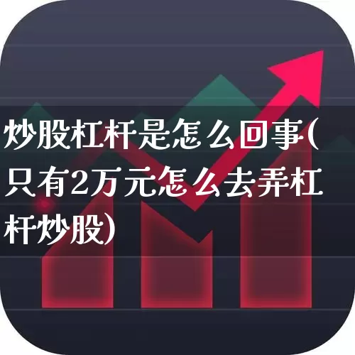 炒股杠杆是怎么回事(只有2万元怎么去弄杠杆炒股)_https://www.ccit-cctv.com_上交所_第1张
