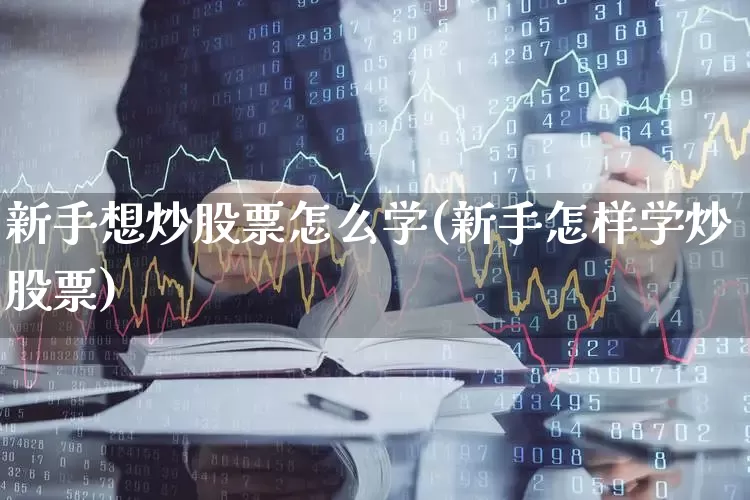 新手想炒股票怎么学(新手怎样学炒股票)_https://www.ccit-cctv.com_深交所_第1张