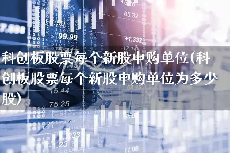科创板股票每个新股申购单位(科创板股票每个新股申购单位为多少股)_https://www.ccit-cctv.com_深交所_第1张