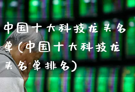 中国十大科技龙头名单(中国十大科技龙头名单排名)_https://www.ccit-cctv.com_深交所_第1张
