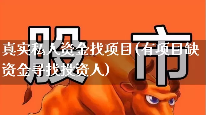 真实私人资金找项目(有项目缺资金寻找投资人)_https://www.ccit-cctv.com_北交所_第1张