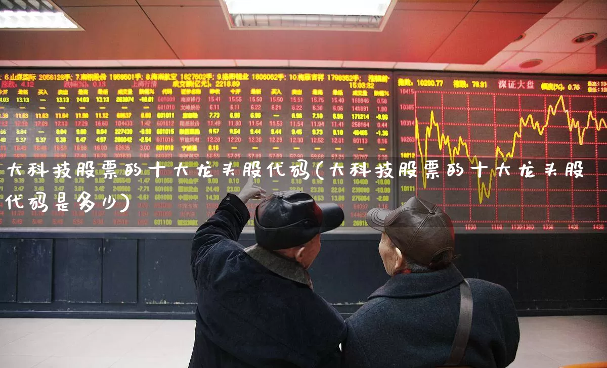 大科技股票的十大龙头股代码(大科技股票的十大龙头股代码是多少)_https://www.ccit-cctv.com_上交所_第1张