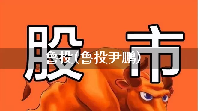 鲁投(鲁投尹鹏)_https://www.ccit-cctv.com_北交所_第1张