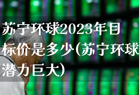 苏宁环球2023年目标价是多少(苏宁环球潜力巨大)_https://www.ccit-cctv.com_上交所_第1张