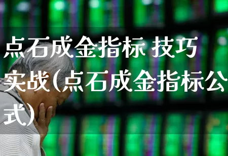 点石成金指标 技巧 实战(点石成金指标公式)_https://www.ccit-cctv.com_深交所_第1张