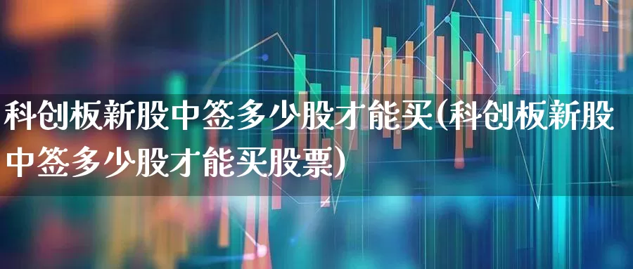 科创板新股中签多少股才能买(科创板新股中签多少股才能买股票)_https://www.ccit-cctv.com_上交所_第1张