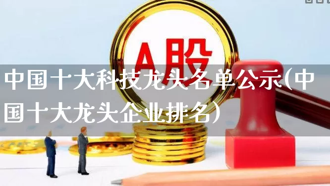 中国十大科技龙头名单公示(中国十大龙头企业排名)_https://www.ccit-cctv.com_北交所_第1张