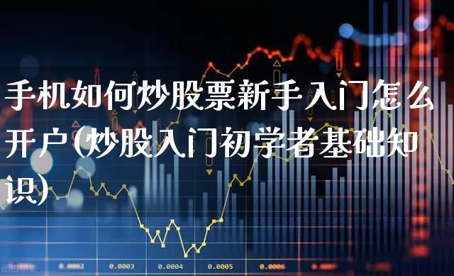 手机如何炒股票新手入门怎么开户(炒股入门初学者基础知识)_https://www.ccit-cctv.com_北交所_第1张