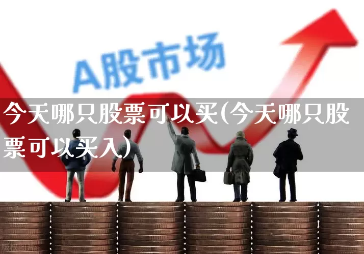 今天哪只股票可以买(今天哪只股票可以买入)_https://www.ccit-cctv.com_北交所_第1张