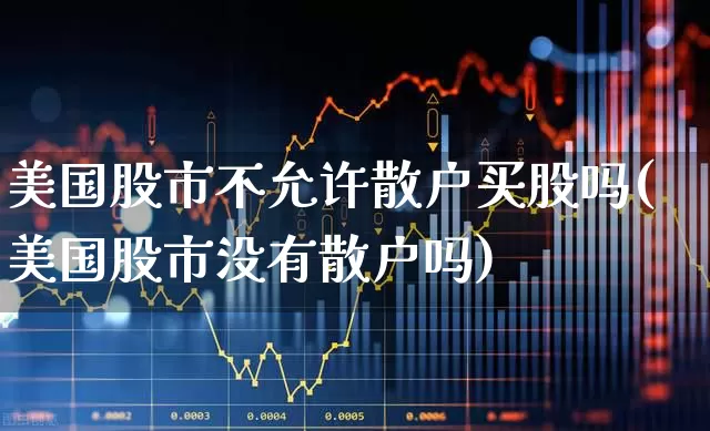 美国股市不允许散户买股吗(美国股市没有散户吗)_https://www.ccit-cctv.com_创业板_第1张