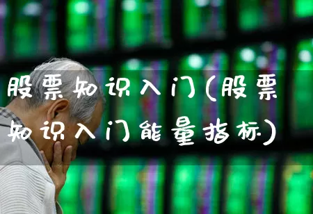 股票知识入门(股票知识入门能量指标)_https://www.ccit-cctv.com_上交所_第1张
