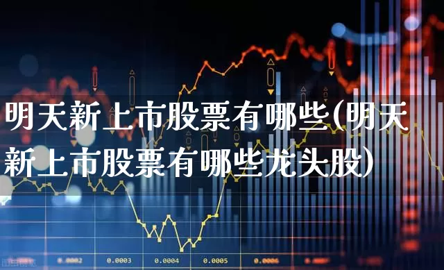 明天新上市股票有哪些(明天新上市股票有哪些龙头股)_https://www.ccit-cctv.com_北交所_第1张